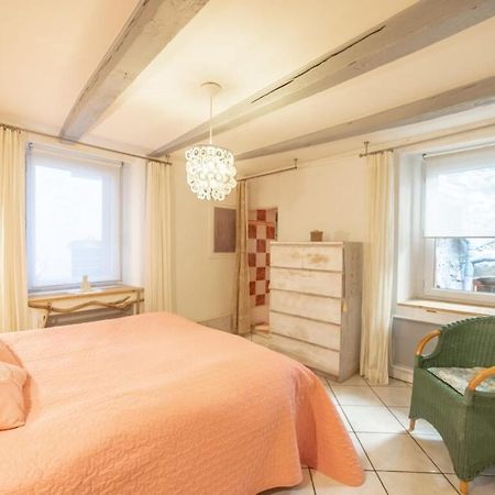 Apartment Classified 3 Stars Located In The Heart Of The Old Town Annecy Exterior photo